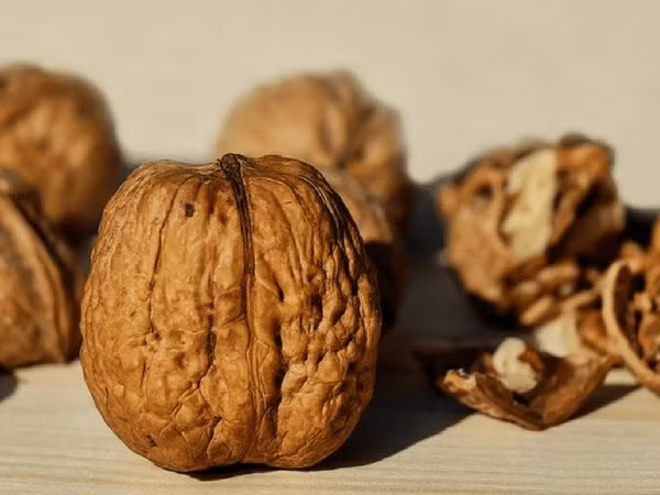 Hạt óc chó có hàm lượng chất béo omega-3 cao, ít chất xơ và có hàm lượng chất chống oxy hoá cao, ngăn ngừa ung thư. Hạt cũng tốt cho não bộ, giúp tăng cường hệ thống miễn dịch và chống bệnh tim mạch vành. Ảnh: Boldsky.