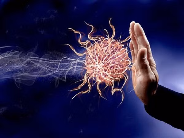 Ergothioneine, một chất chống oxy hoá mạnh mẽ trong nấm có hiệu quả trong việc loại bỏ các gốc tự do, do đó, tăng cường hệ thống miễn dịch. Ảnh: Boldsky.