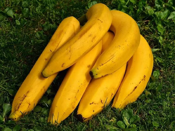 Sinh tố chuối rất hiệu quả trong việc cải thiện năng lượng cho chuyện “yêu” nhờ nó chứa enzyme bromelain. Ảnh: Boldsky.