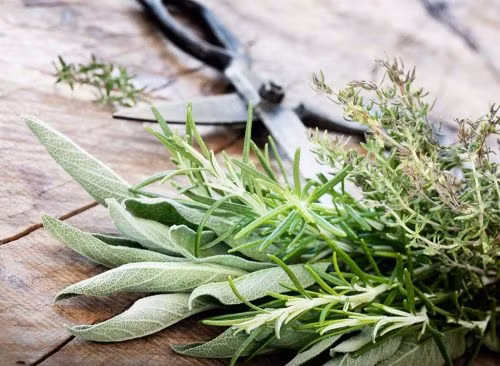 Một mẹo tiết kiệm chi tiêu của các bà nội trợ là trước khi đi mua sắm, hãy xem lại những gì mình đã có sẵn trong bếp như các loại thảo mộc và gia vị. Những thứ này có thể giúp bạn tiết kiệm một khoản không nhỏ. Ảnh: Shutterstock.