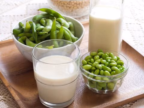 Sữa đậu nành: Đậu nành là một loại thực phẩm có chứa probiotic có chứa nhiều lợi ích. Ảnh: RD.