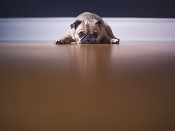 Tham gia vào các hoạt động đốt cháy calo như đi bộ hoặc leo núi thay vì nằm ì một chỗ. Điều này giúp bạn nhanh chóng tống mỡ thừa vùng đùi và bắp chân. Ảnh: Boldsky.