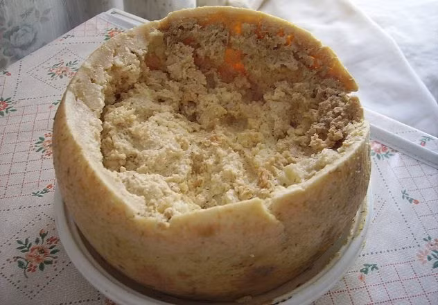 10. Pho mát giòi của Ý: Món casu marzu (pho mát giòi) của đất nước hình chiếc ủng Italy chắc chắn không dành cho người yếu tim. Để làm được món casu marzu này, những người dân nơi đây phải làm món pho mát Pecorino nổi tiếng trước và cho chúng lên men bởi loài ruồi Piophila. Ảnh: Listverse.