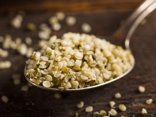 Hạt gai dầu có chứa 6,3g protein chỉ trong hai muỗng canh hạt. Ngoài ra, nó còn chứa nhiều axit alpha-linoleic và axit béo omega-3 tốt cho sức khỏe. Ảnh: Boldsky.
