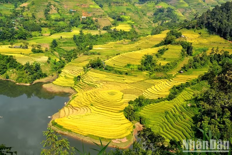 Không chỉ có khí hậu mát mẻ, không khí trong lành, huyệnBát Xátcòn được biết đến là địa điểm có những thửa ruộng bậc thang đẹp của vùng Tây Bắc. Vào mùa lúa chín, từ trên cao nhìn xuống, những thửa ruộng bậc thang tại đây giống như dải lụa vàng lấp lánh xen giữa những đỉnh núi cao, hùng vĩ. Tất cả tạo nên một khung cảnh yên bình, thơ mộng đến nao lòng.