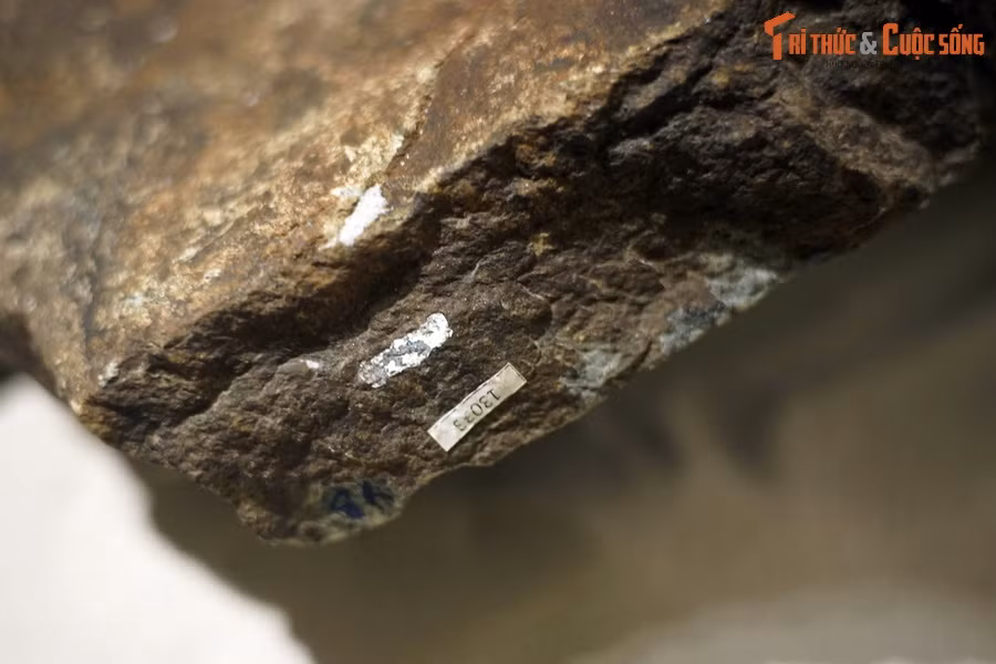 Chính những tinh thể zircon lấy trong tầng đá Orthogneis ở địa điểm trên đã được ông mang sang phòng thí nghiệm hiện đại ở Nhật Bản để xác định tuổi tuyệt đối bằng phương pháp phân tích đồng vị U/Pb.