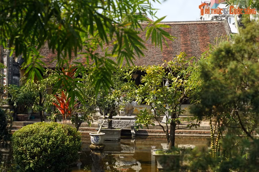 Vào năm 1789, khi vua Quang Trung đưa quân về thành Thăng Long và đại chiến với quân Mãn Thanh ở Đống Đa, hàng nghìn liệt sĩ Tây Sơn tử trận đã được quy tập về thôn Mã Trại, tạo thành một nghĩa trang.