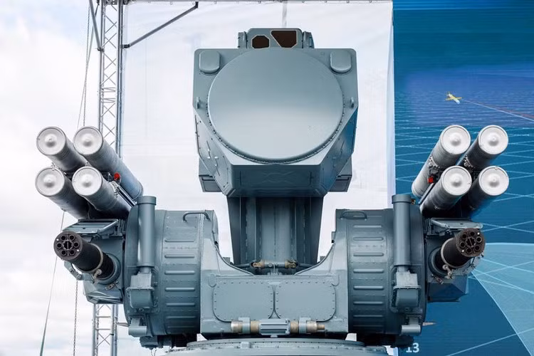 Mỗi module tác chiến 3R-99E có trọng lượng 6.900 kg. Một hệ thống phòng không Palma hoàn chỉnh bao gồm 4 module chiến đấu.