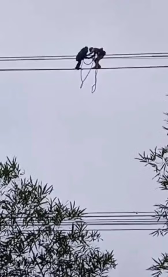 Lực lượng cứu hộ rất khó khăn đề tiếp cận.