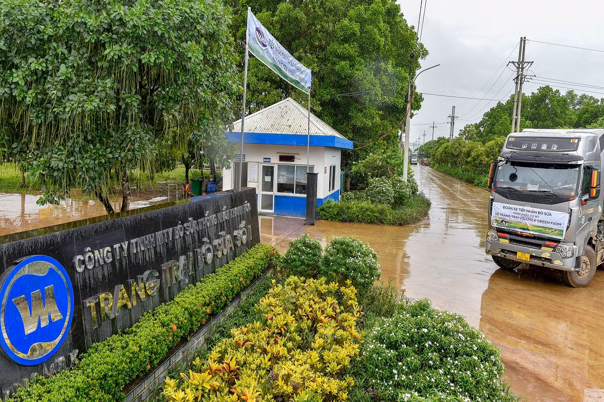 Vinamilk tiep nhan hon 1.500 bo nhap khau tu My ve cac trang trai Vinamilk Green Farm-Hinh-4