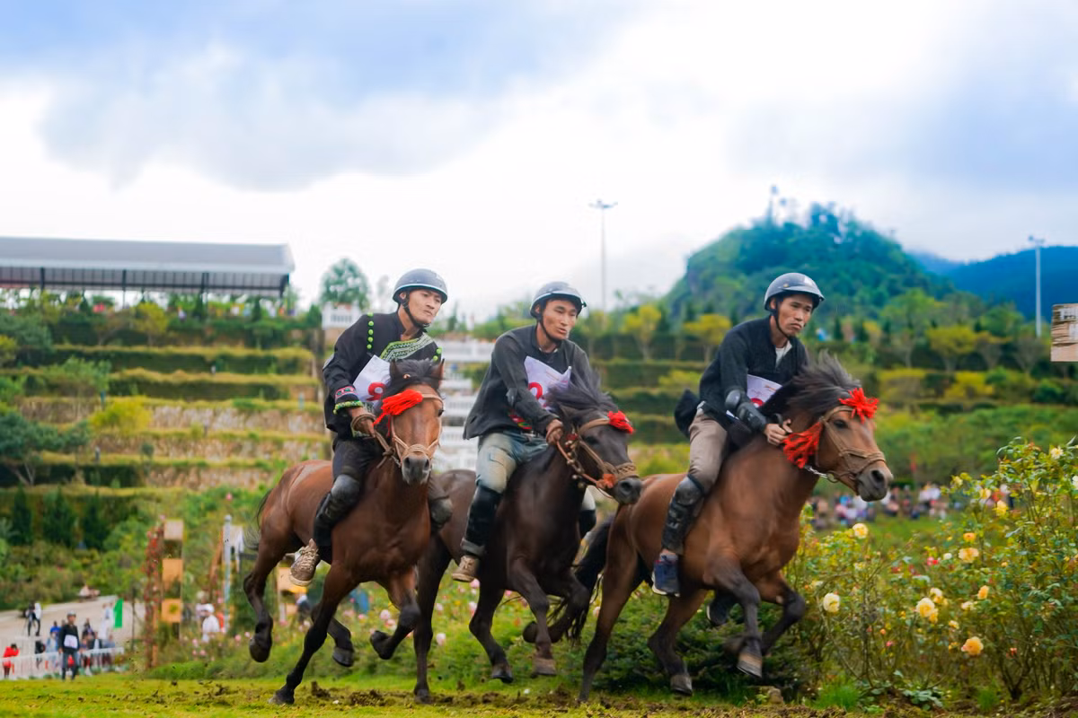 Co gi dac biet o Le hoi hoa hong Fansipan 2022?-Hinh-4