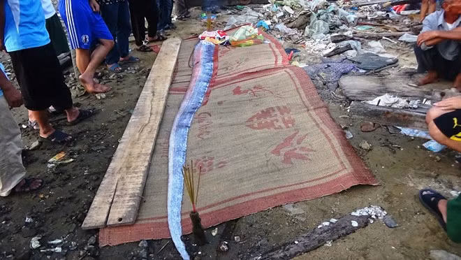 Ca dong dat khung lai dat vao Quang Binh