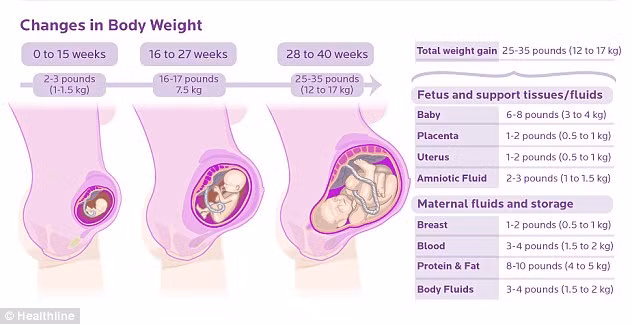 Thông thường, mỗi phụ nữ sẽ tăng khoảng 12-17kg trong khi mang thai, bao gồm trọng lượng bào thai nặng 3-4kg, nhau thai, tử cung, nước ối cũng như chất dịch trong cơ thể mẹ.