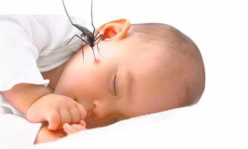 Sữa mẹ chữa vết muỗi đốt nhanh cho trẻ. Với bé sơ sinh có da đặc biệt nhạy cảm, thì khi bé bị muỗi đốt, bạn có thế vắt sữa mẹ bôi lên, da bé sẽ không bị sưng và để lại vết sẹo thâm.