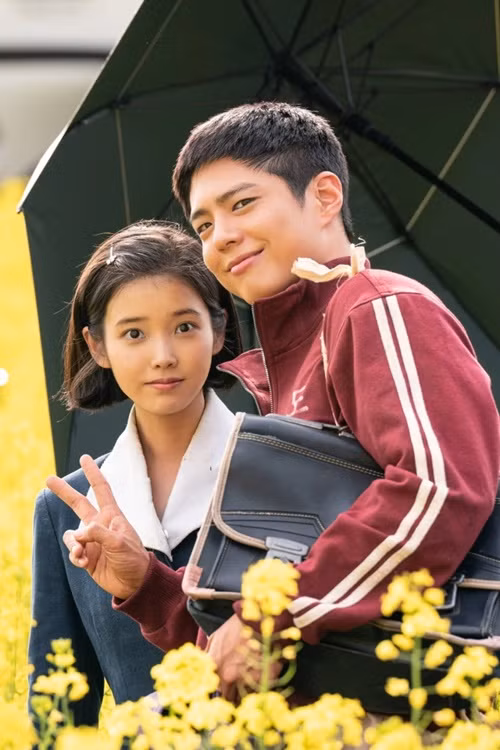  Park Bo Gum và IU đang góp mặt trong bộ phim truyền hình Hàn Quốc Khi cuộc đời cho bạn quả quýt gây sốt toàn cầu. Ảnh: Netflix.
