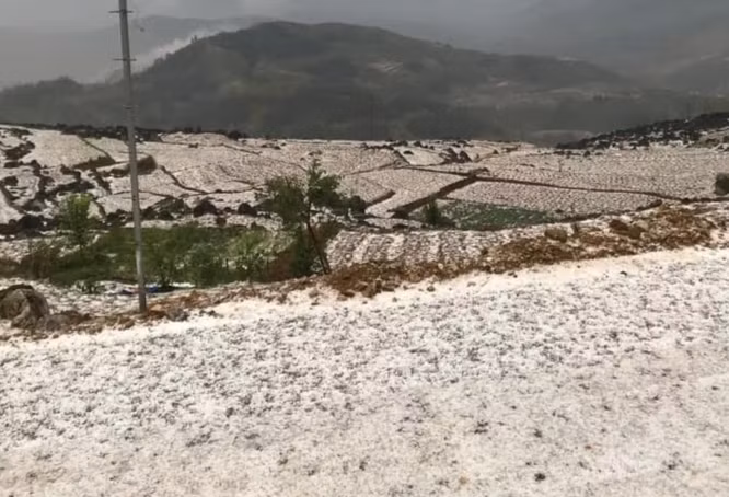 Khoảng 18h cùng ngày, trên địa bàn xã Vần Chải, huyện Đồng Văn (tỉnh Hà Giang) và một số xã lân cận xảy ra tình trạng mưa đá. Trận mưa đá kéo dài khoảng 30 phút đã tàn phá một số hoa màu của người dân. Rất may không có thiệt hại về người. Một số người dân chia sẻ, mưa đá xảy ra trên diện rộng, kích thước viên đá từ 0,5 đến 0,8cm.