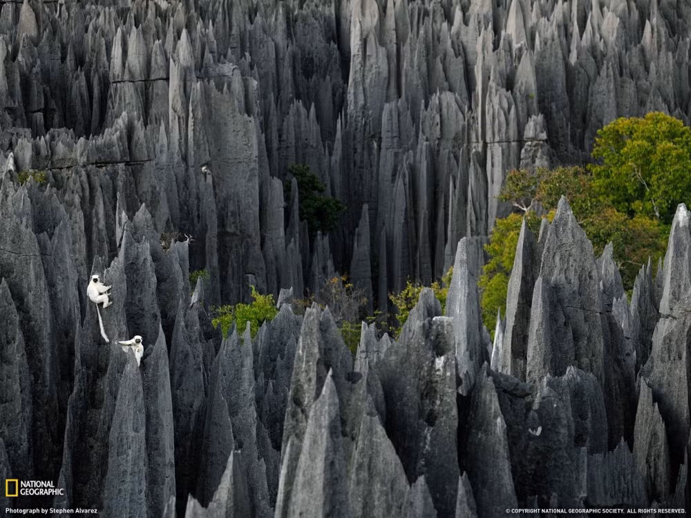 Khung cảnh kỳ vĩ của rừng đá ở Tsingy nằm trong công viên quốc gia Tsingy de Bemaraha, Madagasca.