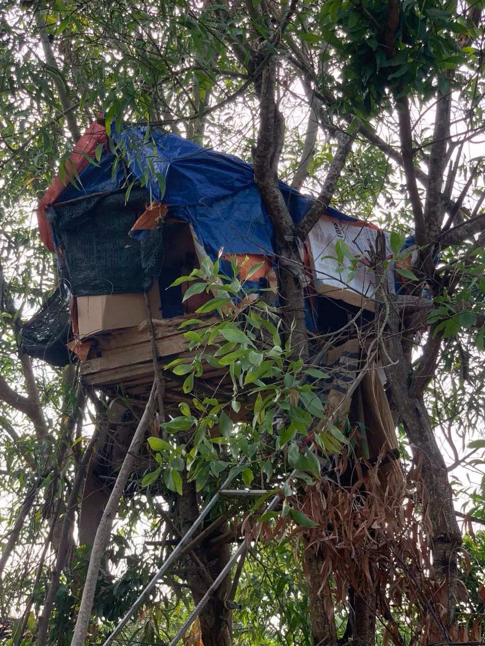 Nênh chọn địa hình đồi núi hiểm trở để giao dịch mua bán ma túy, phân công đàn em cảnh giới chặt chẽ, nhiều vòng, luôn luôn cảnh giác đối với người ngoài khu vực xâm nhập vào lán trại. Hắn cũng luôn mang theo súng quân dụng, lựu đạn và súng tự chế bên người, sẵn sàng chống trả quyết liệt khi bị phát hiện. Chính vì thế, nhiều lần Công an huyện đã xây dựng kế hoạch tổ chức vây bắt nhưng phải hoãn lại do yêu cầu đảm bảo an toàn cho nhân dân cũng như cán bộ, chiến sĩ. (Ảnh minh họa, nguồn internet)
