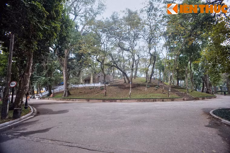 Không chỉ là một lá phổi xanh quan trọng, Vườn bách thảo Hà Nội còn là nơi sở hữu một " kho báu nghìn tỉ" độc nhất vô nhị của Thủ đô.