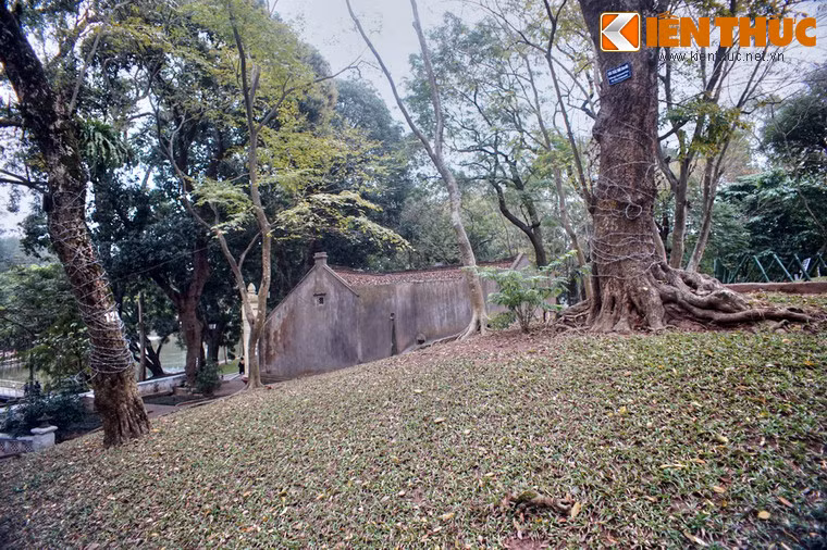 Trong những năm qua, ở Hà Nội đã xảy ra nhiều vụ đốn hạ trộm cây sưa đỏ do giá trị cao của loài cây này.