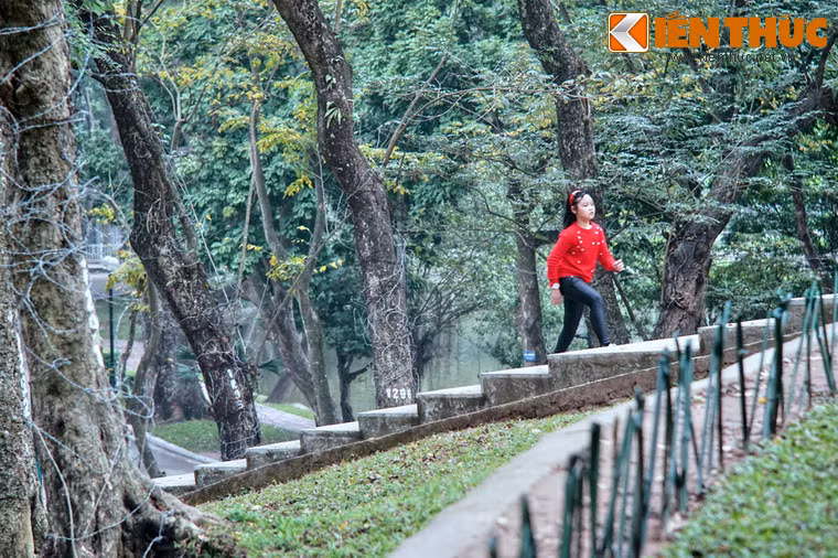 "Kho báu" này tập trung trên núi Nùng, ngọn núi nhân tạo được đắp vào thời thuộc địa, cùng thời gian thành lập Vườn bách thảo.