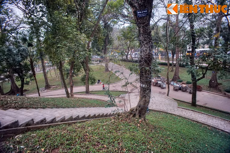 Núi Nùng còn có tên gọi là núi Sưa, do xưa kia nơi đây là một gò đất có những cây sưa rất to.