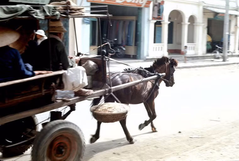 Xe ngựa chở khách trên đường.