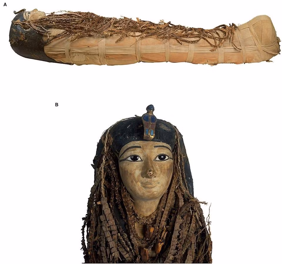 Ông hoàng này đã cắt bao quy đầu và có hàm răng chắc khỏe, đều tăm tắp. Pharaoh Amenhotep I có cằm nhọn, mũi nhỏ hẹp, tóc xoăn.