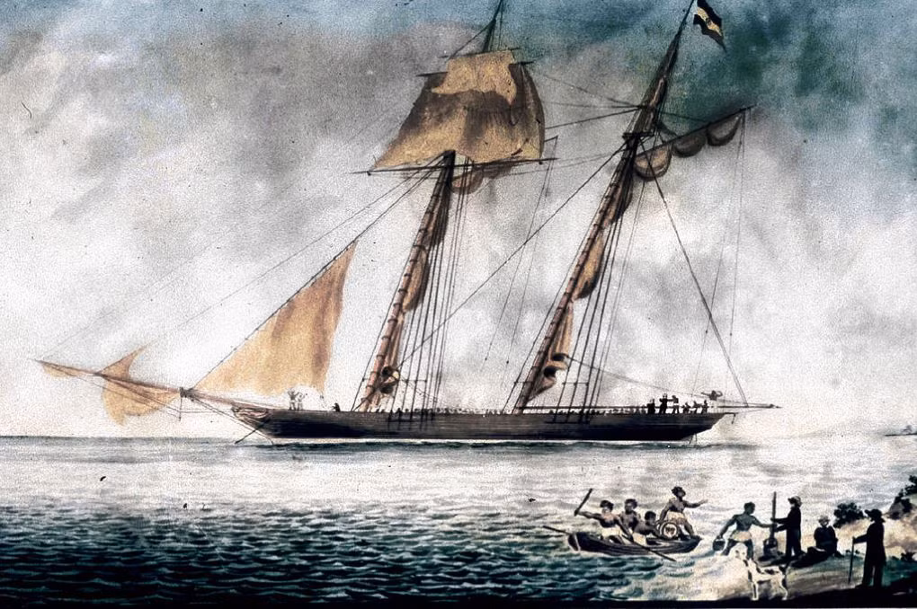 Vào thời điểm năm 1860, Mỹ còn duy trì chế độ sở hữu nô lệ. Tuy nhiên, giới chức trách Mỹ cấm "nhập khẩu" nô lệ kể từ năm 1807.