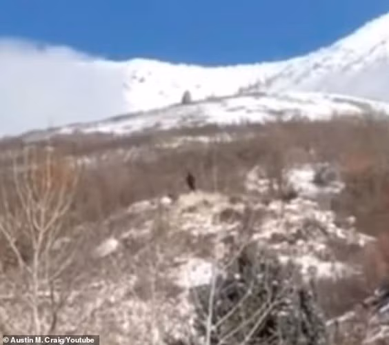 Vì sinh vật này không có thật nên các nhà điều tra, thám hiểm sẽ không bao giờ tìm thấy Bigfoot.
