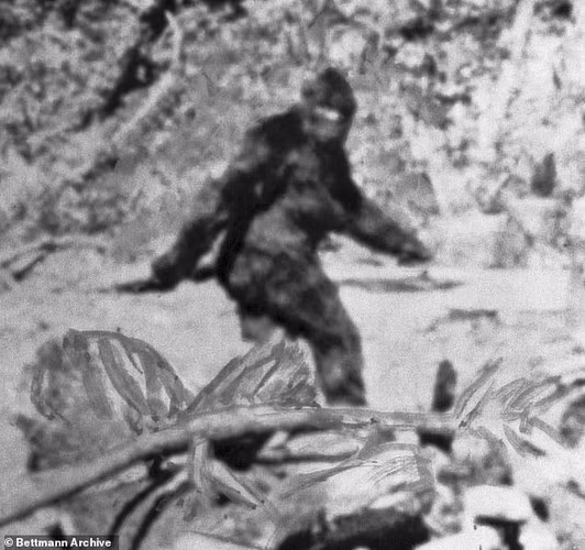 Những câu chuyện về quái vật Bigfoot (Chân to) xuất hiện lần đầu kể từ những năm 1800. Sinh vật thần thoại này còn được gọi là Sasquatch. Theo mô tả của các nhân chứng, Bigfoot là một sinh vật khổng lồ có hình hài nửa người nửa vượn.