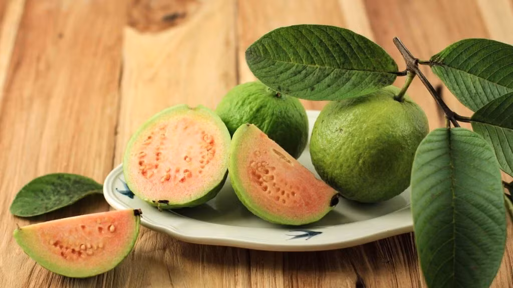 10. Trị gàu: Nếu bị gàu hoặc da đầu khô, bạn có thể dùng lá ổi tươi giã nhỏ đắp trực tiếp lên da đầu, chụp mũ và để qua đêm, gội sạch với dầu gội và dầu xả dịu nhẹ vào buổi sáng. Các đặc tính chống nấm trong ổi sẽ loại bỏ gàu nhanh chóng. Ảnh: GJ.