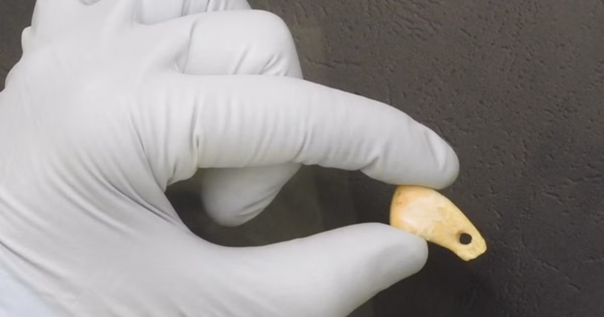Các nhà nghiên cứu đã ngâm mặt dây chuyền thời đồ đá cũ trên trong một dung dịch đệm natri photphat rồi tăng dần nhiệt độ lên tới 90 độ C.