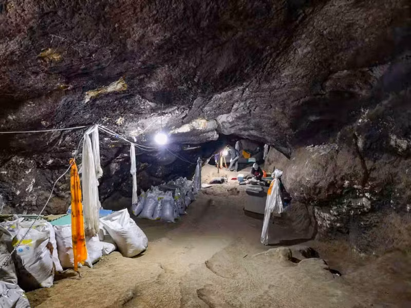 Các nhà nghiên cứu xác định người phụ nữ đeo mặt dây chuyền trên thuộc người tinh khôn Homo sapiens (tức con người ngày nay).