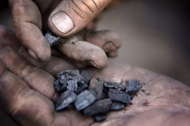 Để tối đa hóa việc loại bỏ carbon, đá bazan cần được rải trên một khu vực rộng lớn. Nhiều người nông dân địa phương đã tham gia nhiệm vụ rải đá bazan nhằm "giải cứu" Trái đất khỏi tình trạng nóng lên toàn cầu. Đổi lại, họ được tặng phân bón miễn phí. Qua thử nghiệm rải trên các cánh đồng, đá bazan đã được chứng minh có thể cải thiện cả năng suất cây trồng và chất lượng chăn thả gia súc.
