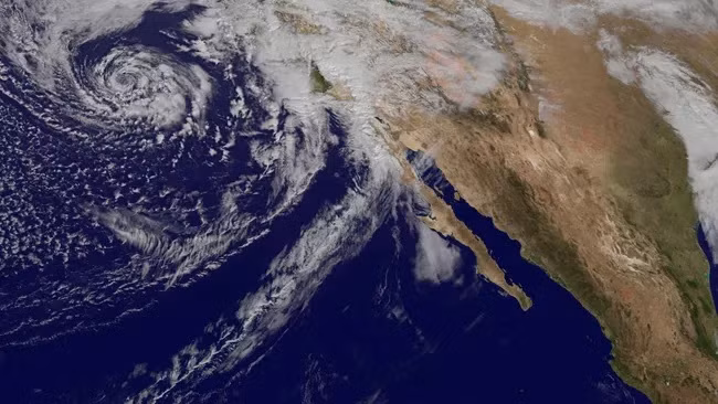"Tiệm cà phê cá mập trắng" là một địa điểm nằm ở Thái Bình Dương, giữa bang Baja California, Mexico và Hawaii. Đây là nơi những con cá mập trắng lớn (Carcharodon carcharias) thường tập trung vào mùa Đông và mùa Xuân. Ảnh: Stocktrek Images, Inc. via Alamy.