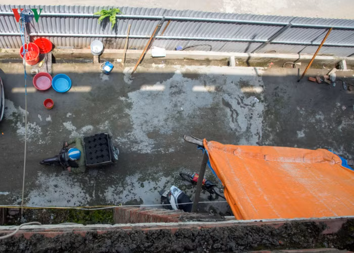 Sáng đi làm, di chuyển đến nhiều nơi trên địa bàn thành phố Hà Nội, trưa - chiều về nghỉ và ăn cơm rất có thể mang theo virus từ nơi đang bùng phát dịch sốt xuất huyết.