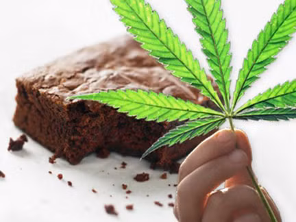 Các bác sỹ cũng khuyến cáo bánh brownie là một loại bánh có chứa chất gây nghiện nguy hiểm phải được người lớn giám sát chặt chẽ, vì khi cơ thể hấp thu quá nhiều melatonin có thể gây tử vong. Ước tính một chiếc bánh brownie có chứa hàm lượng melatonin gấp cả chục lần so với lượng melatonin được sản xuất trong cơ thể của một người.