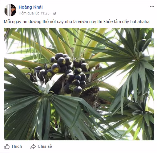 Dai gia Khaisilk "dung dung" truoc nghi van ban khan luc gan mac Trung Quoc-Hinh-5