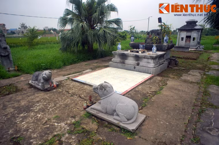 Theo sử sách ghi lại, Quận công Đỗ Bá Phẩm quê gốc ở làng Vân La Thượng (nay thuộc xã Vân Tảo) nên nhân dân quen gọi là Quận Vân. Ông từng giữ chức trấn thủ trấn Sơn Nam, được chúa Trịnh Cương giao cho làm chức tư giảng, chuyên dạy dỗ thế tử Trịnh Giang.