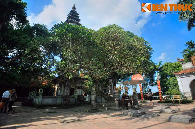 Kiến trúc thời nhà Trần quan trọng nhất còn được bảo tồn khá nguyên vẹn của chùa là tháp Phổ Minh, nằm trước tiền đường.