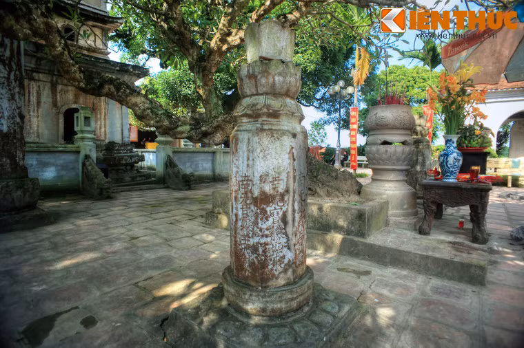 Theo biên niên sử, chùa được xây dựng vào năm 1262, ở phía Tây cung Trùng Quang của các vua nhà Trần. Nhưng theo văn bia, chùa đã có từ thời Lý và được xây dựng lại với quy mô rộng lớn từ năm 1262. Tuy đã nhiều lần tu bổ nhưng chùa vẫn còn giữ được nhiều dấu tích kiến trúc đời Trần.