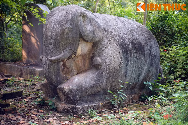 Voi đá nằm ở phía phải có kích thước lớn hơn, tạo hình cũng chi tiết hơn.