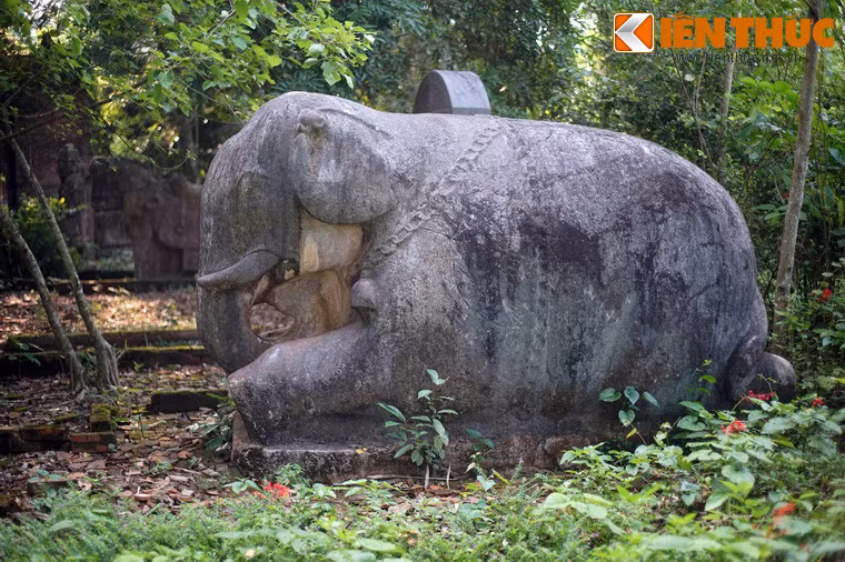 Voi có dáng quỳ, chiều cao 2,1m, kích thước gần tương đương một con voi thật.