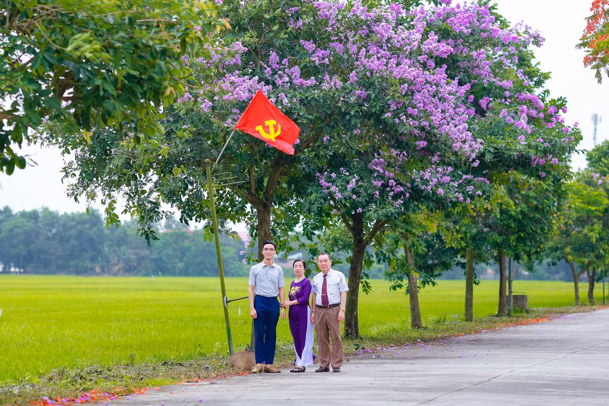 Con duong ben do ruc hoa phuong, ben tim lim bang lang-Hinh-9