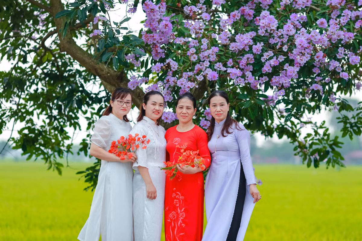 Con duong ben do ruc hoa phuong, ben tim lim bang lang-Hinh-8