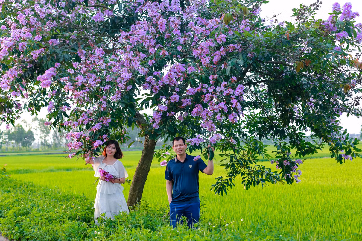Con duong ben do ruc hoa phuong, ben tim lim bang lang-Hinh-4