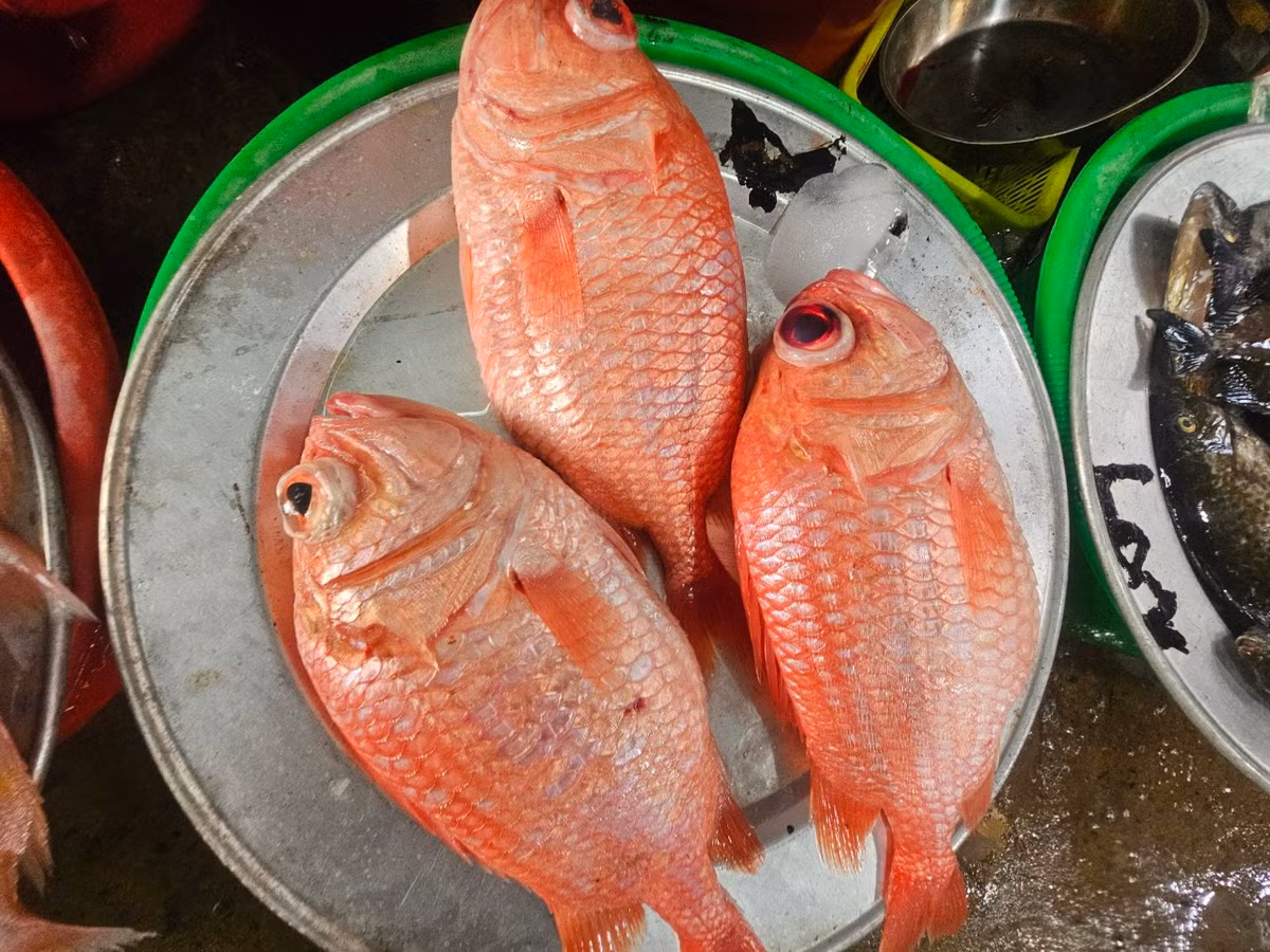 Giá cả các loại hải sản khá mềm đúng kiểu "ngon-bổ-rẻ".