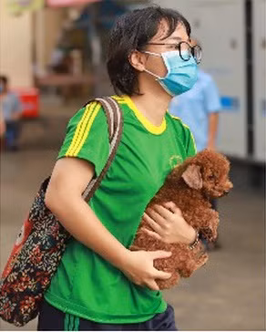 Nhân vật dễ thương này đã nhanh chóng thu hút sự chú ý của những người có mặt tại đó.