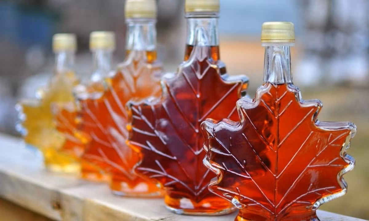 Bên cạnh đó ngành công nghiệp đường và siro của Canada còn phụ thuộc vào nguồn nguyên liệu từ những rừng phong có giá trị kinh tế cao. (Nguồn: capth.vn)